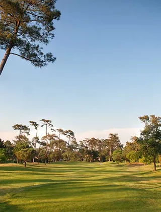 Allée de terrain de golf parfaitement entretenue, entourée de grands pins. Le soleil projette de longues ombres sur le gazon vert sous un ciel bleu dégagé