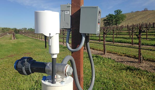 Image of a Wellntel Sensor in a vineyard