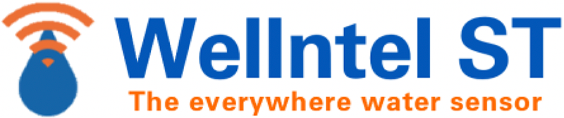 Wellntel ST logo