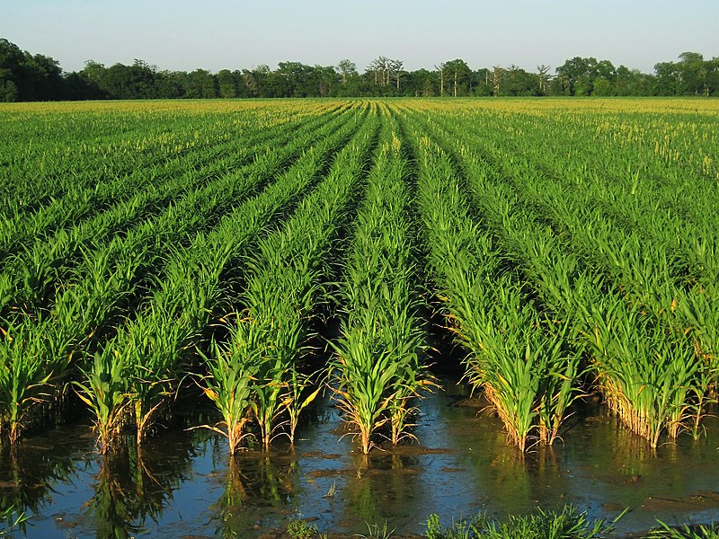 Wellntel Hydrology Article Image