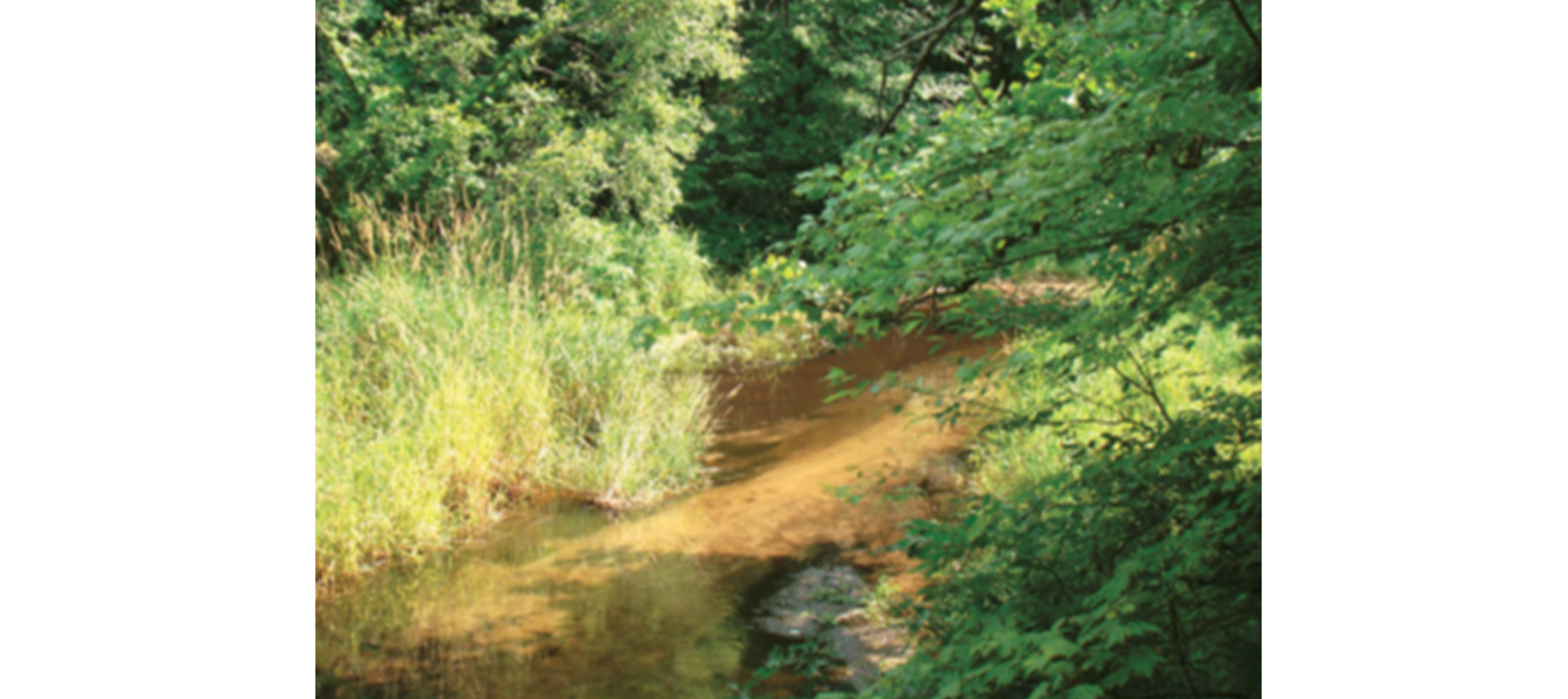 Wellntel Hydrology Article Image