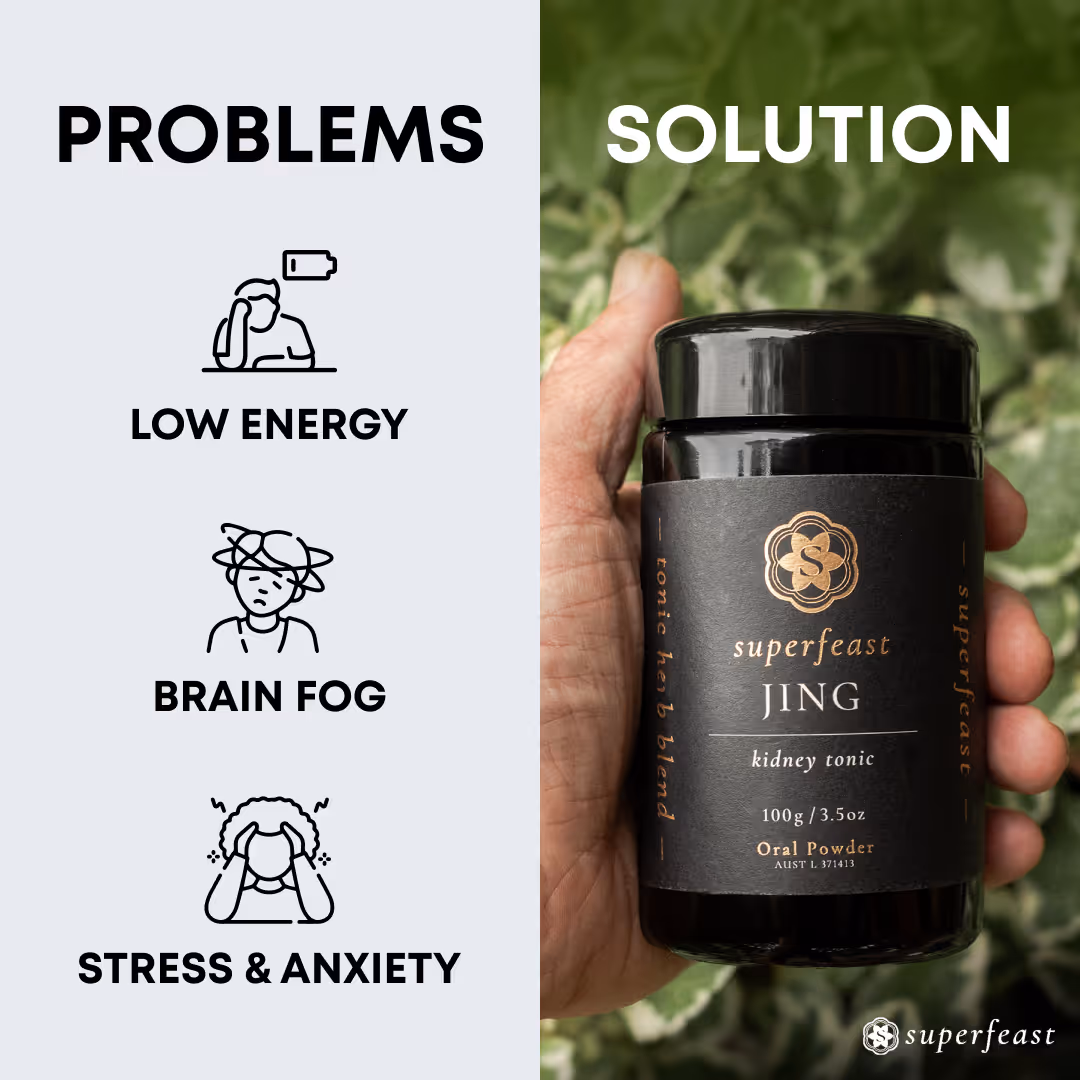 Left side lists problems: low energy, brain fog, stress and anxiety with icons; right side shows hand holding a black jar of Superfeast JING kidney tonic powder.