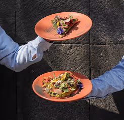 Two hands holding orange plates with gourmet dishes garnished with herbs and edible flowers against a dark textured wall.
