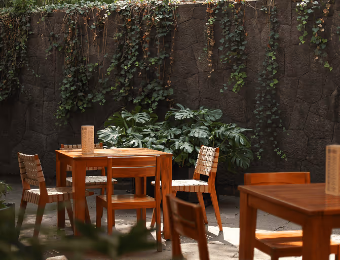 Outdoor dining area with wooden tables and chairs surrounded by lush green plants and a stone wall covered in hanging vines.