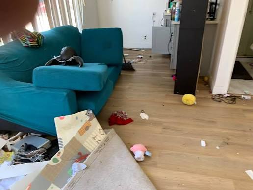 Apartment Clean-Out in MA