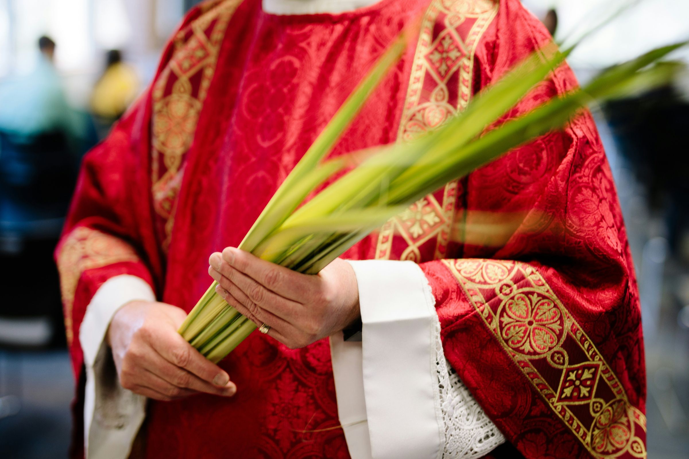 Catholic priest wearing red vestments and holding palms