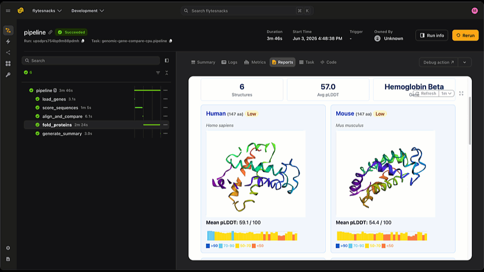 From DNA to 3D Fold: Compare a Gene Across Six Species with Carbon and ESMFold