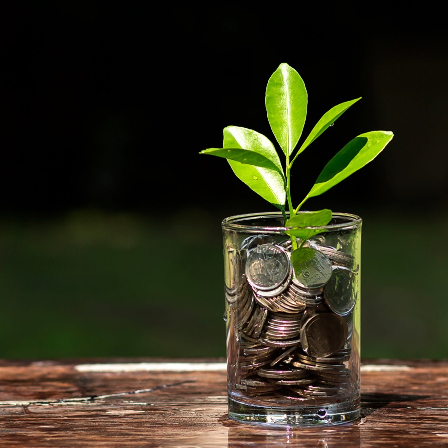 An adviser meeting one-to-one with an individual investor