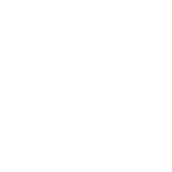 StyleSeat lion