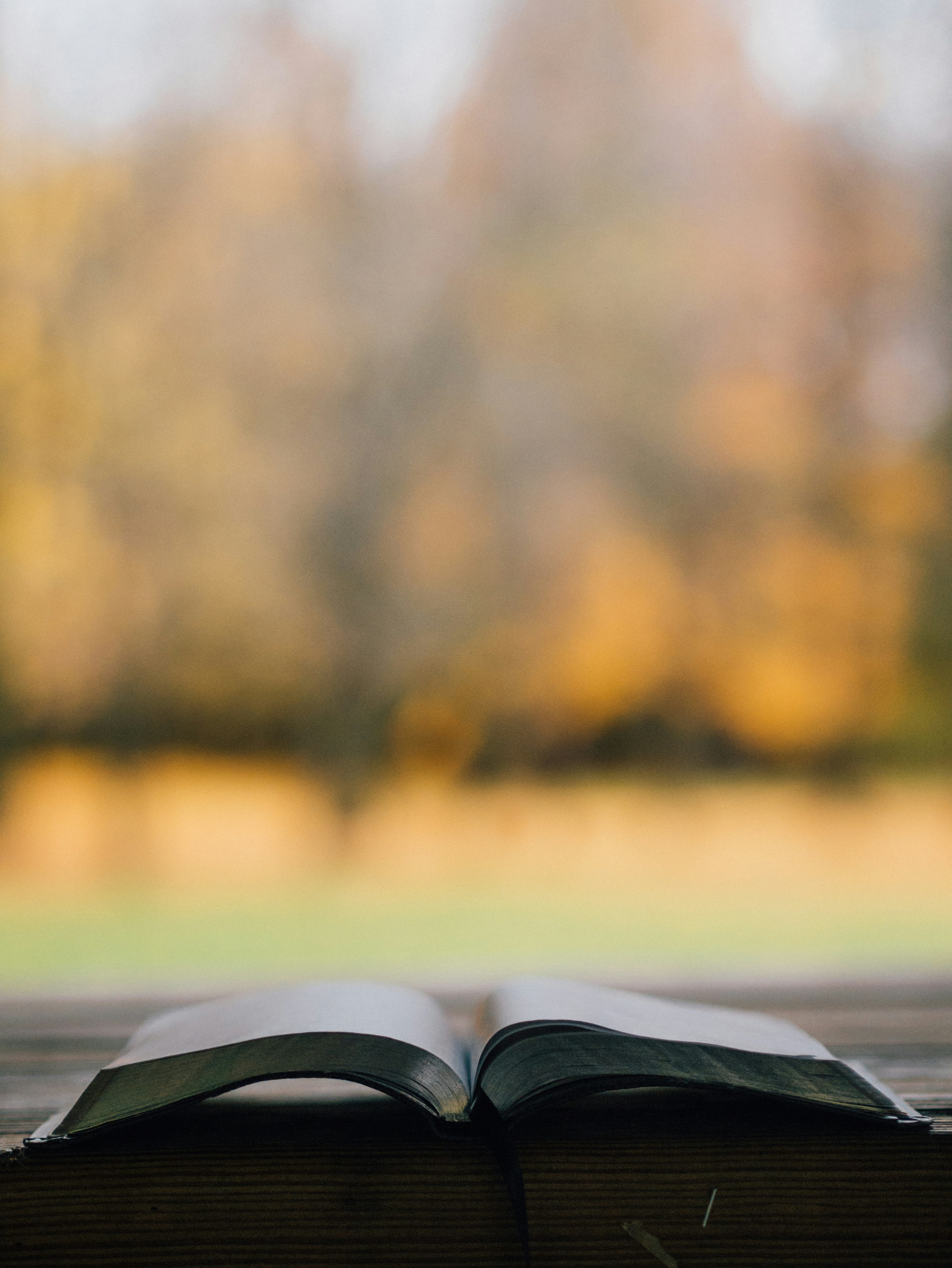 Open book lying on a wooden surface with a blurred background of autumn trees.