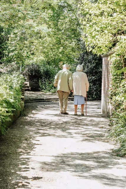 Elderly couple walking together on a sunlit path surrounded by green trees and foliage.