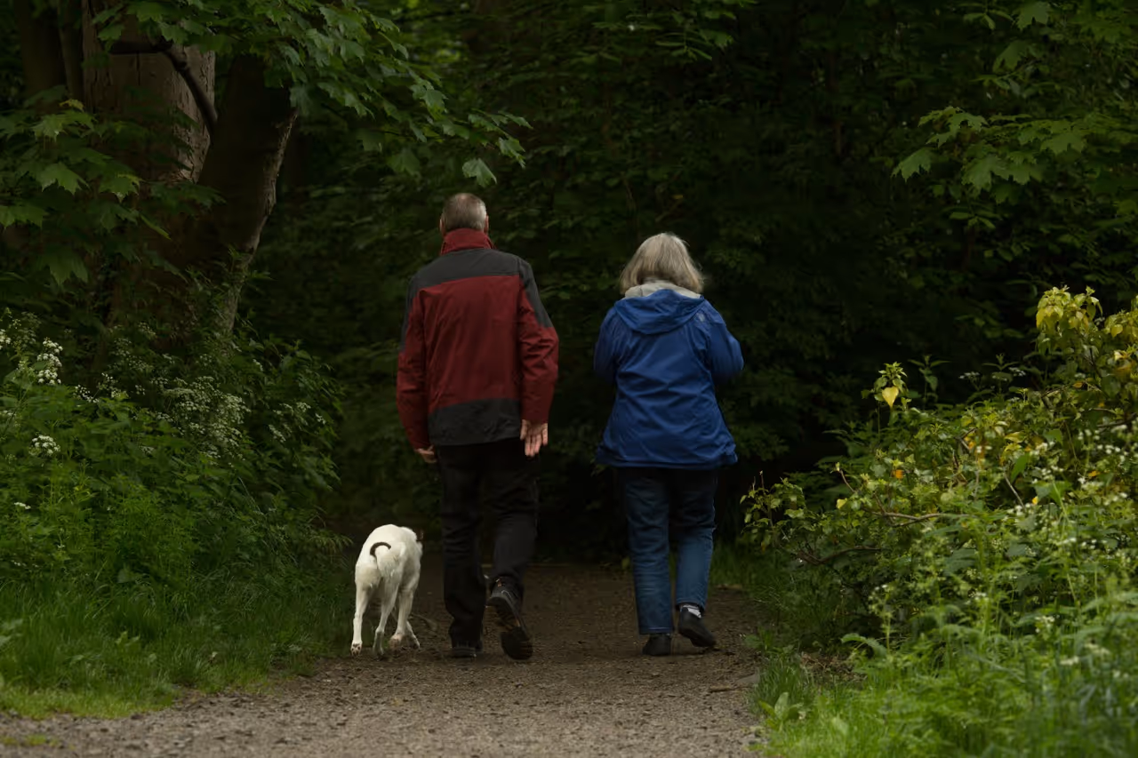 An elderly couple walking on a forest path with a white dog.