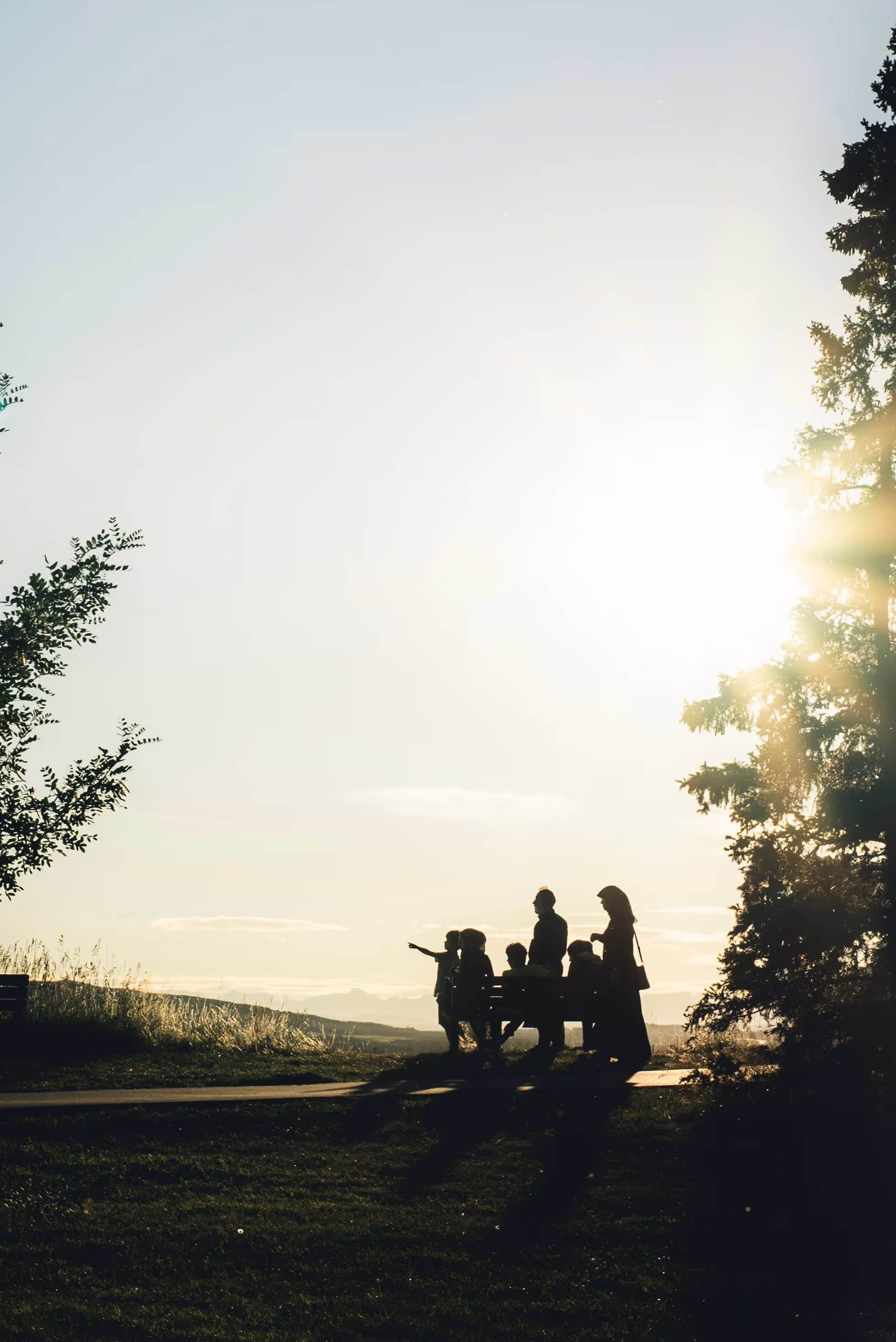 Silhouettes of a group of people sitting and standing near a bench in a park at sunset.