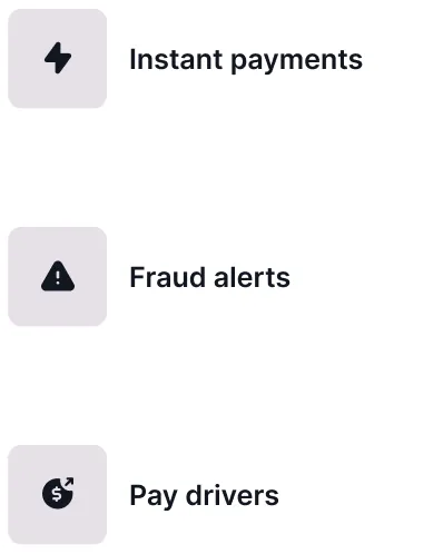 Three app options with icons: lightning bolt for Instant payments, warning triangle for Fraud alerts, and dollar sign with arrow for Pay drivers.