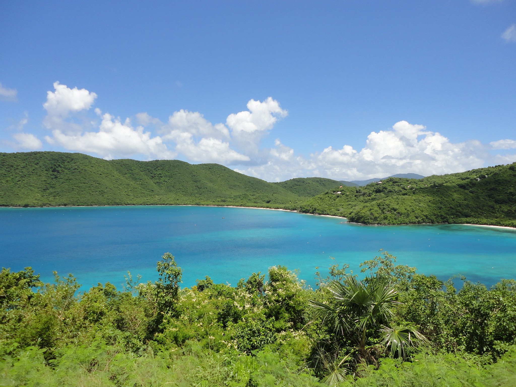 Maho Bay and Little Maho Bay viewed from the hillside above, surrounded by Virgin Islands National Park, St. John