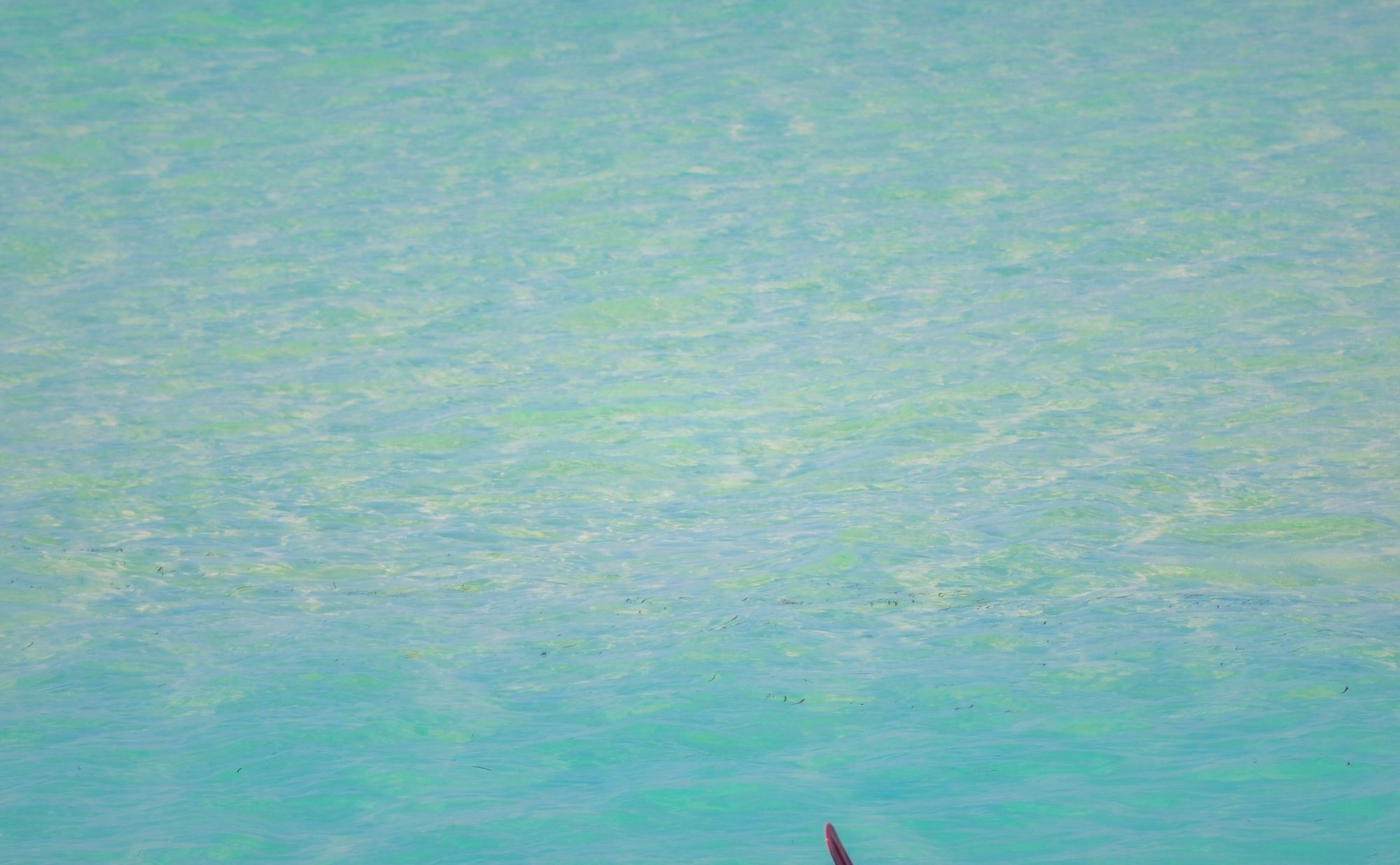 Two kayakers paddling through clear turquoise water on a calm Caribbean day
