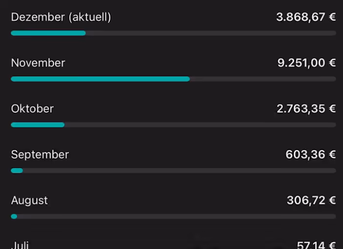 Bar chart showing monthly euro amounts with November highest at 9,251 €, followed by December at 3,868.67 €, then October, September, August, and July.