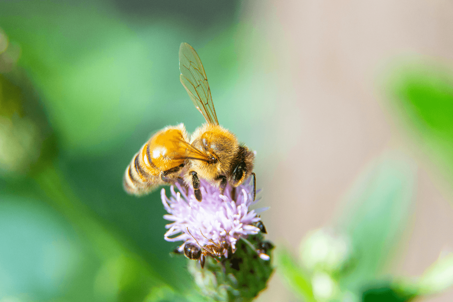 Best Bumble Prompts: 30+ Opening Moves That Get Responses