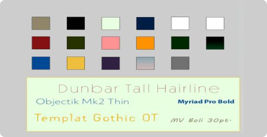TK Photography style guide showing the selected color palette and typography choices.