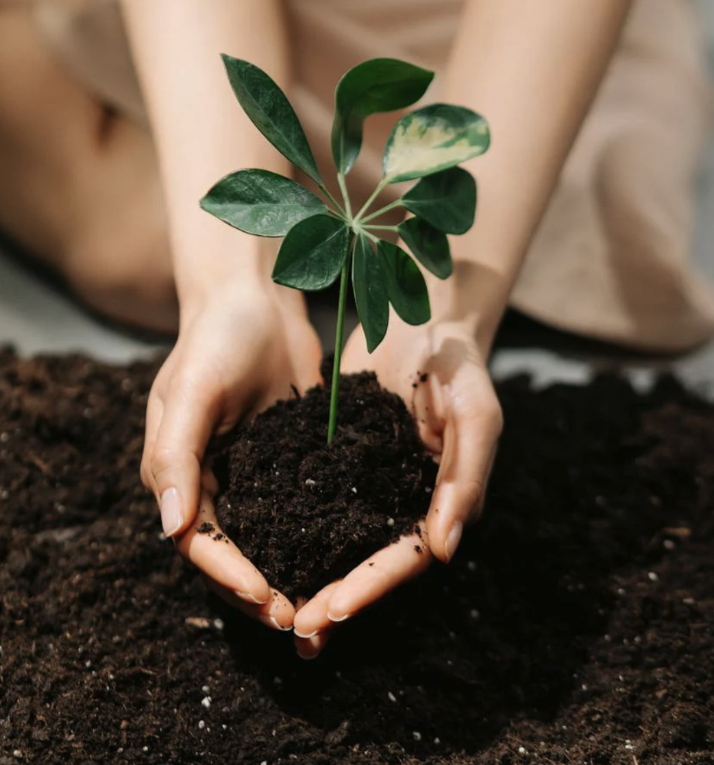 Smart Irrigation Ilustration