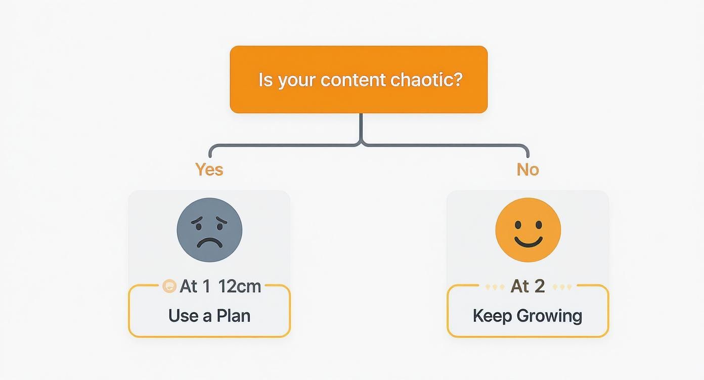Infographic about content marketing planning template