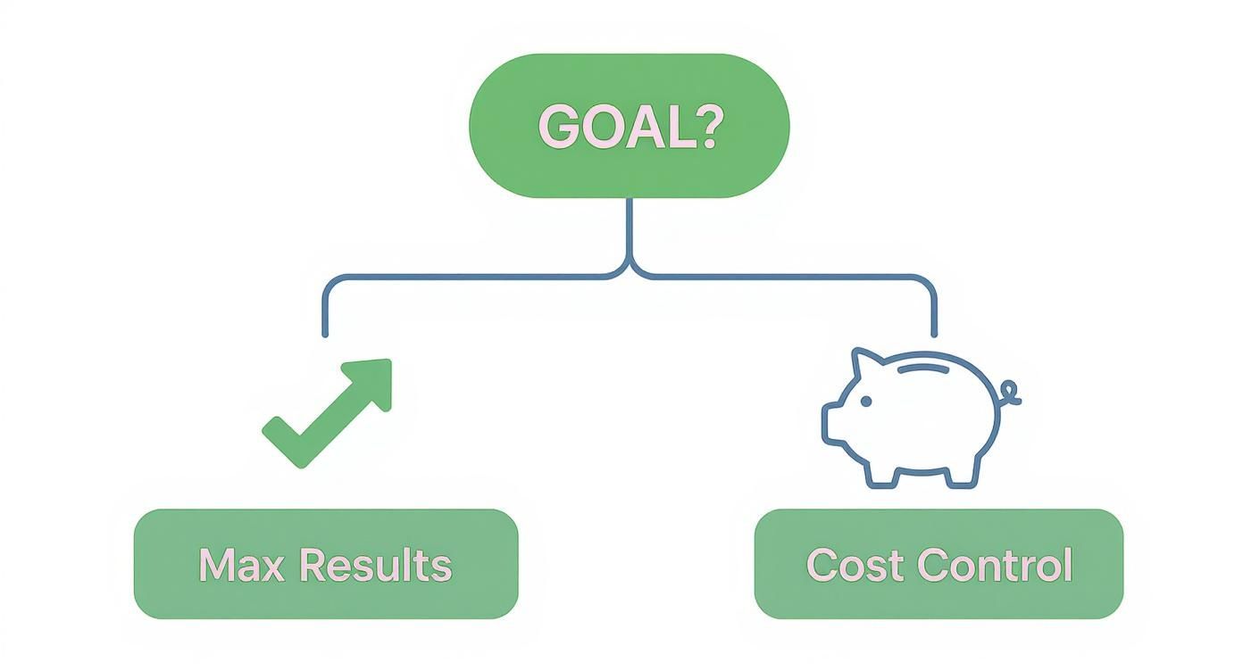 Infographic about how to optimize facebook ads