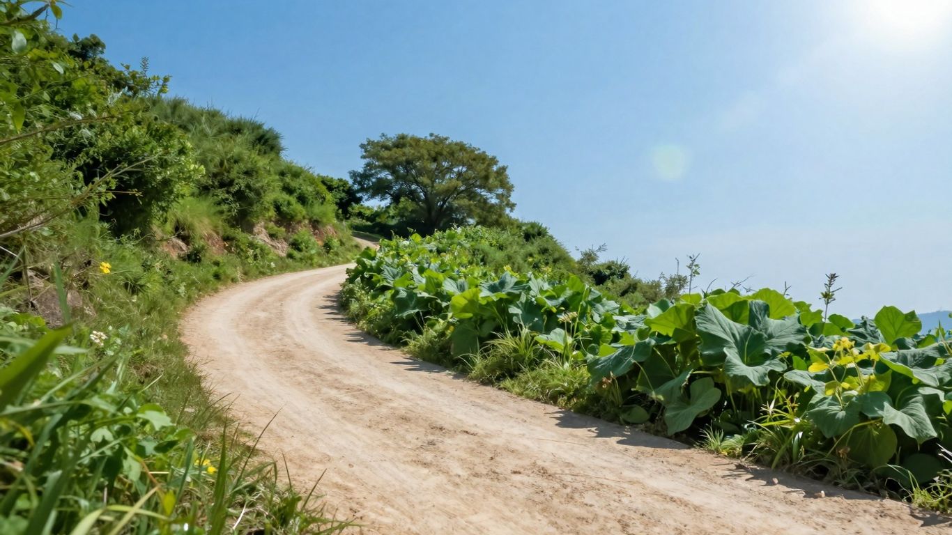 Ascending path towards a bright horizon