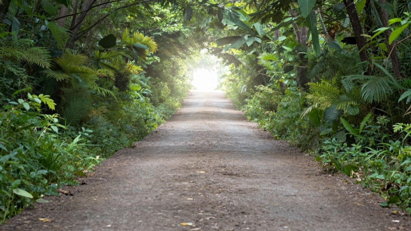 Mastering Your Website Funnel: A Step-by-Step Guide to Conversion Success