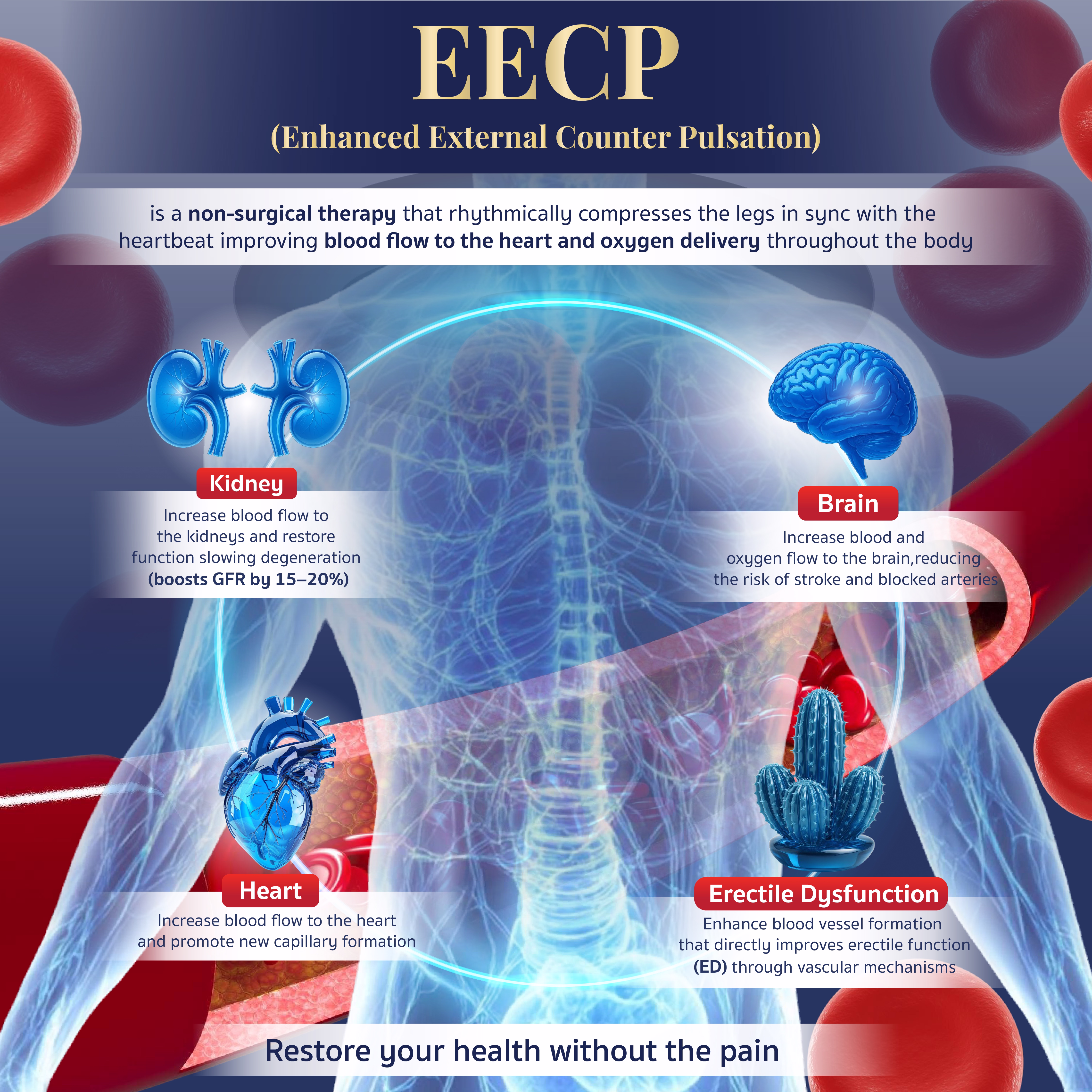 EECP INFO