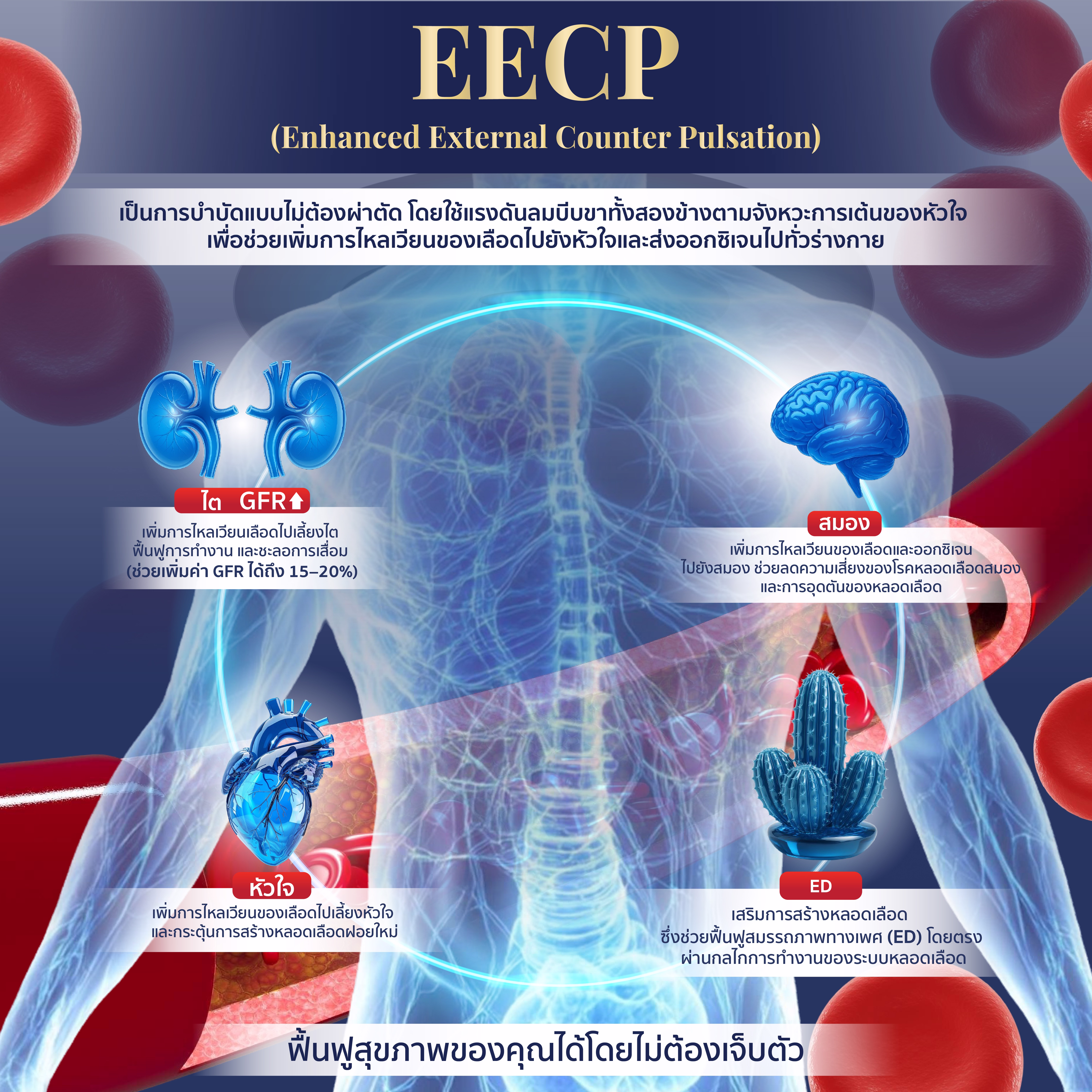 EECP INFO