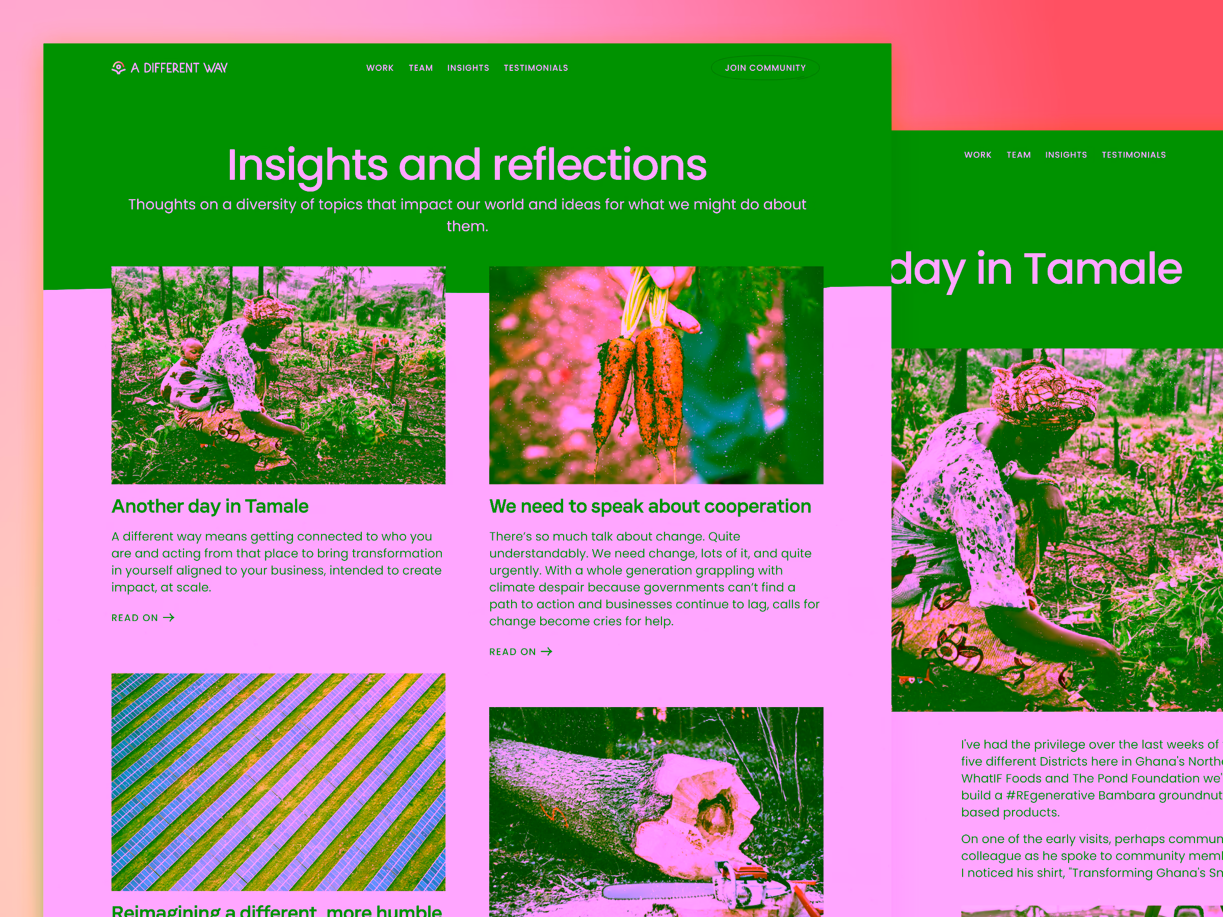Website section titled Insights and reflections with articles on topics including farming in Tamale, cooperation for climate change, aerial farmland view, and a cut tree with chainsaw.
