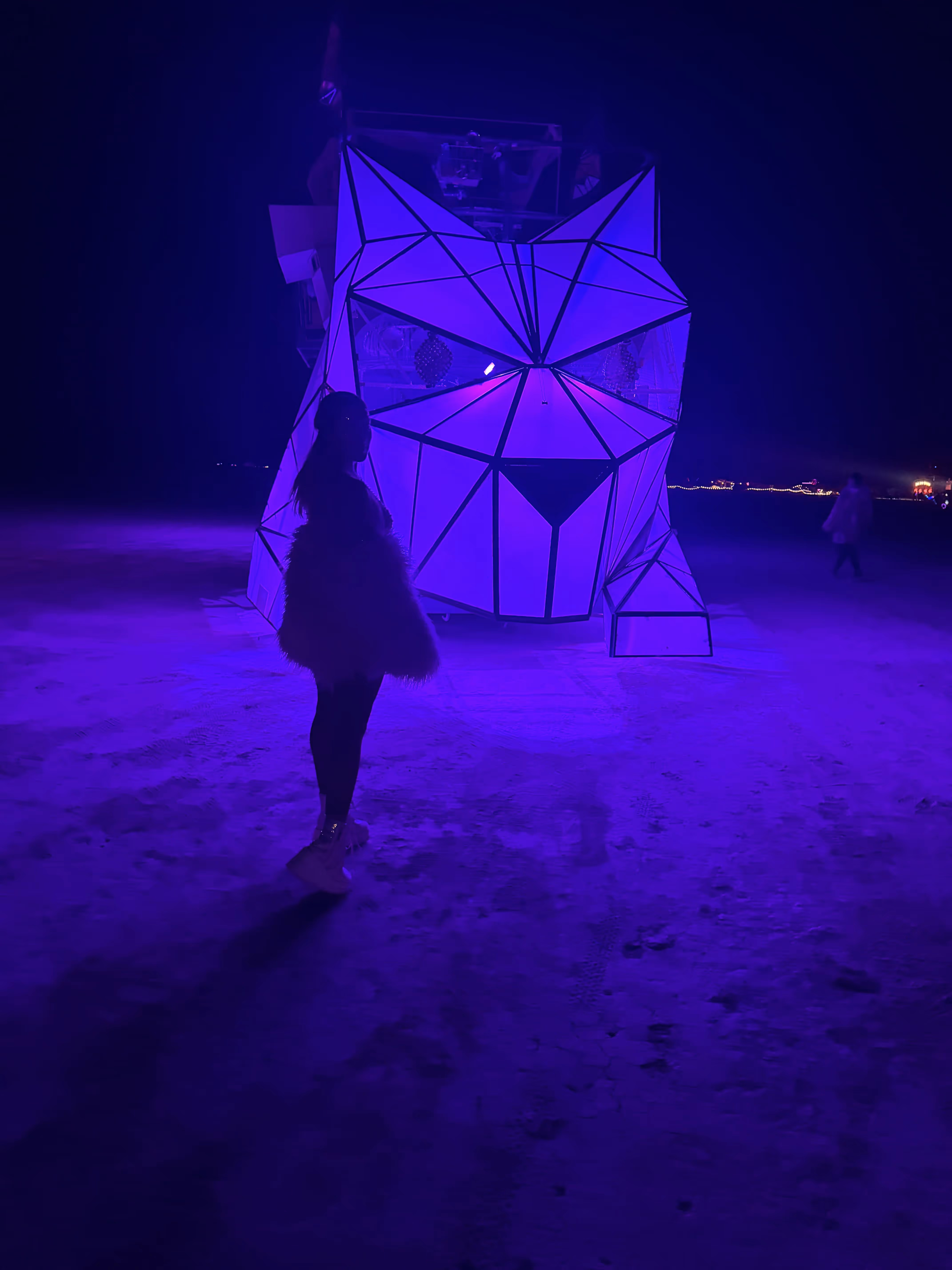 Purple-lit Saboku at night