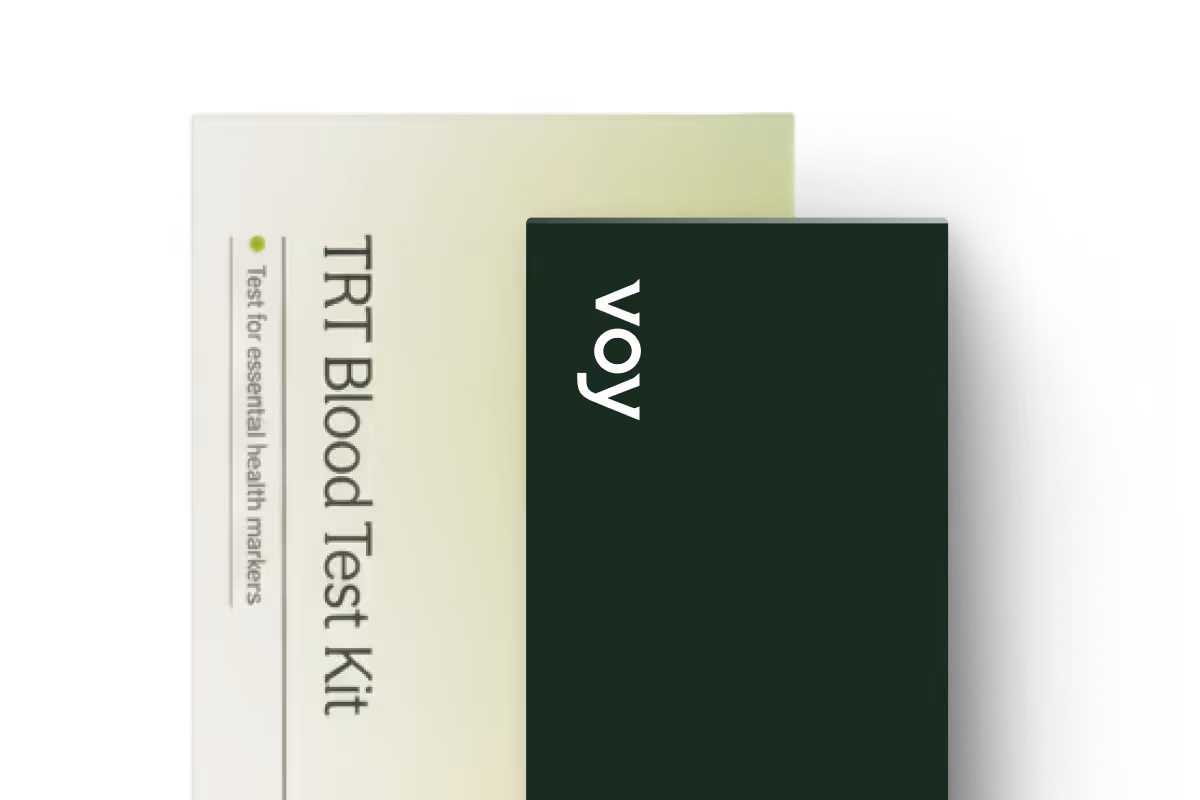 Voy