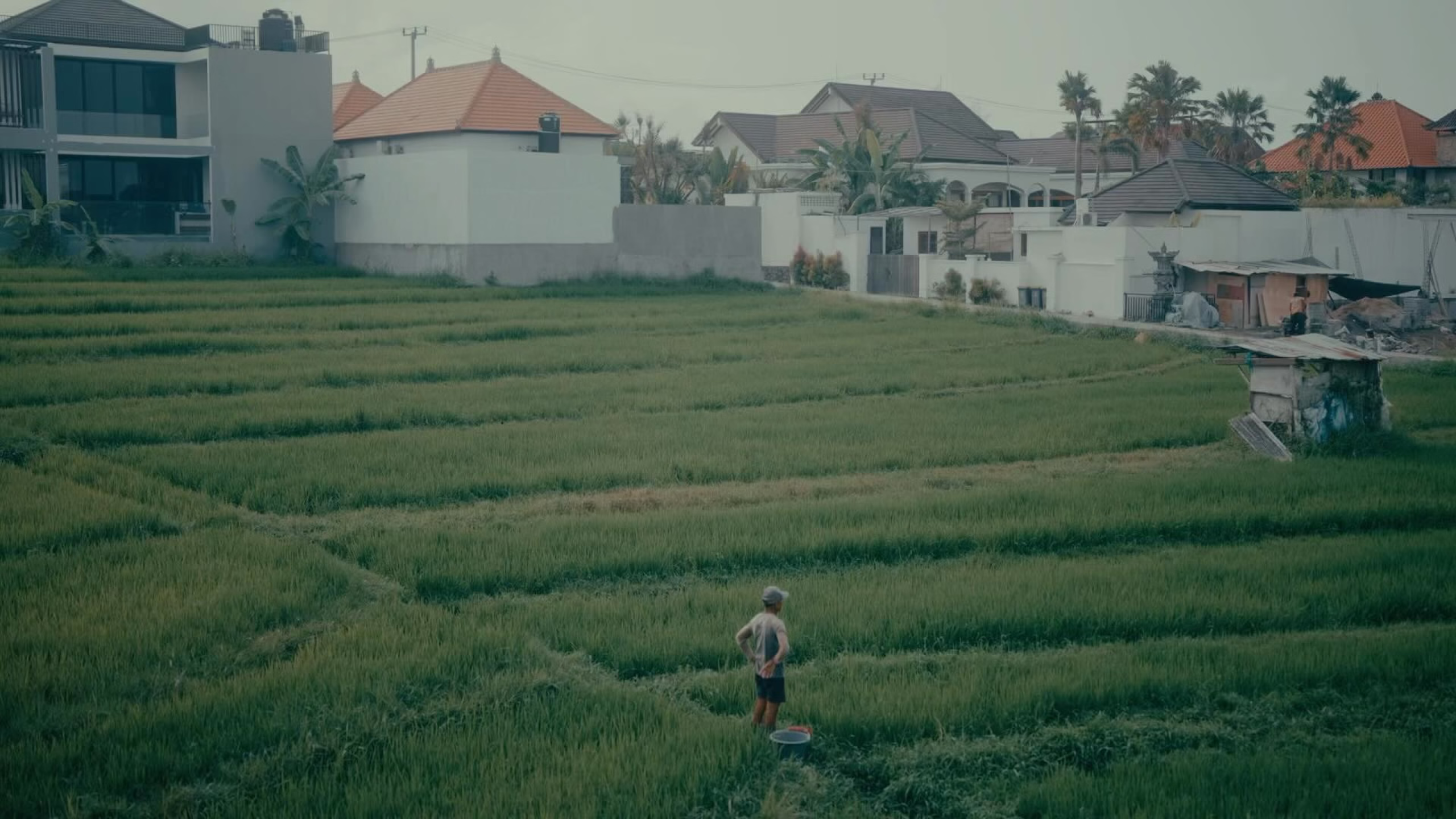 CMS Troubleshooting Guide