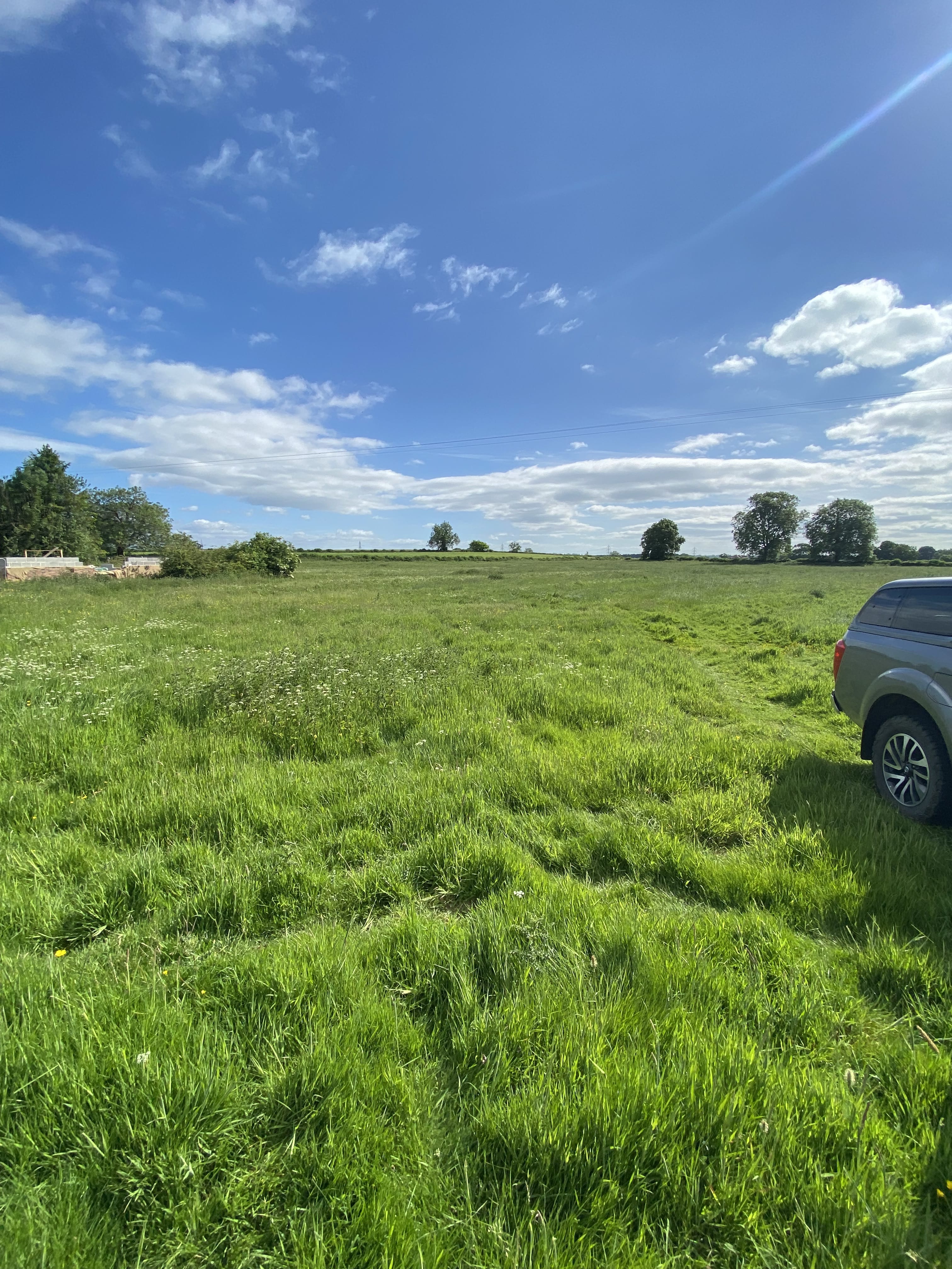 Ecological survey site visit 3