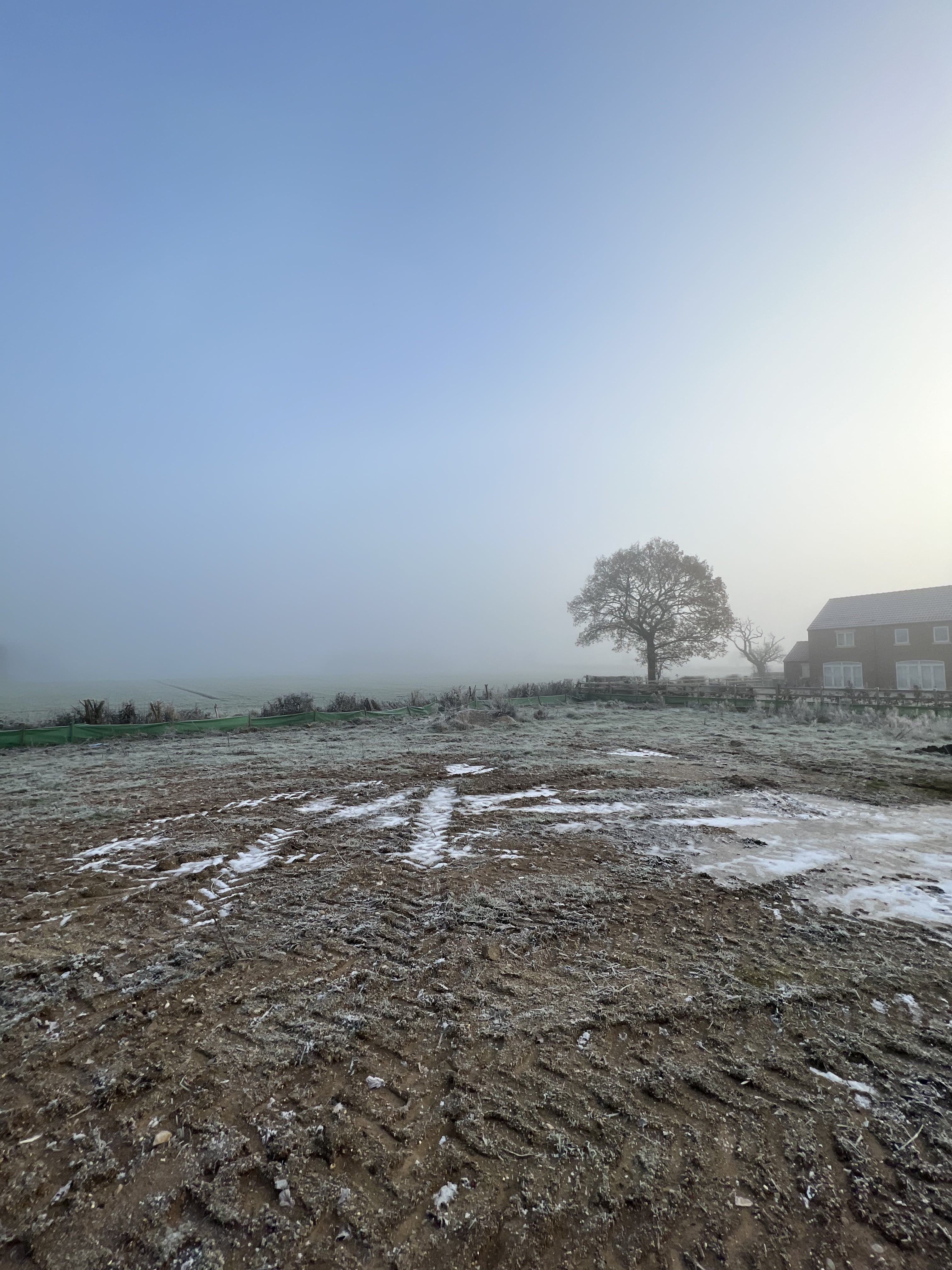 Ecological survey site visit winter
