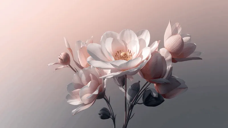 Feminine Aerial Retreat radionice