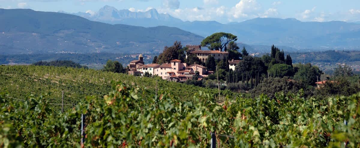 Il Borgo di San Gervasio, Standard