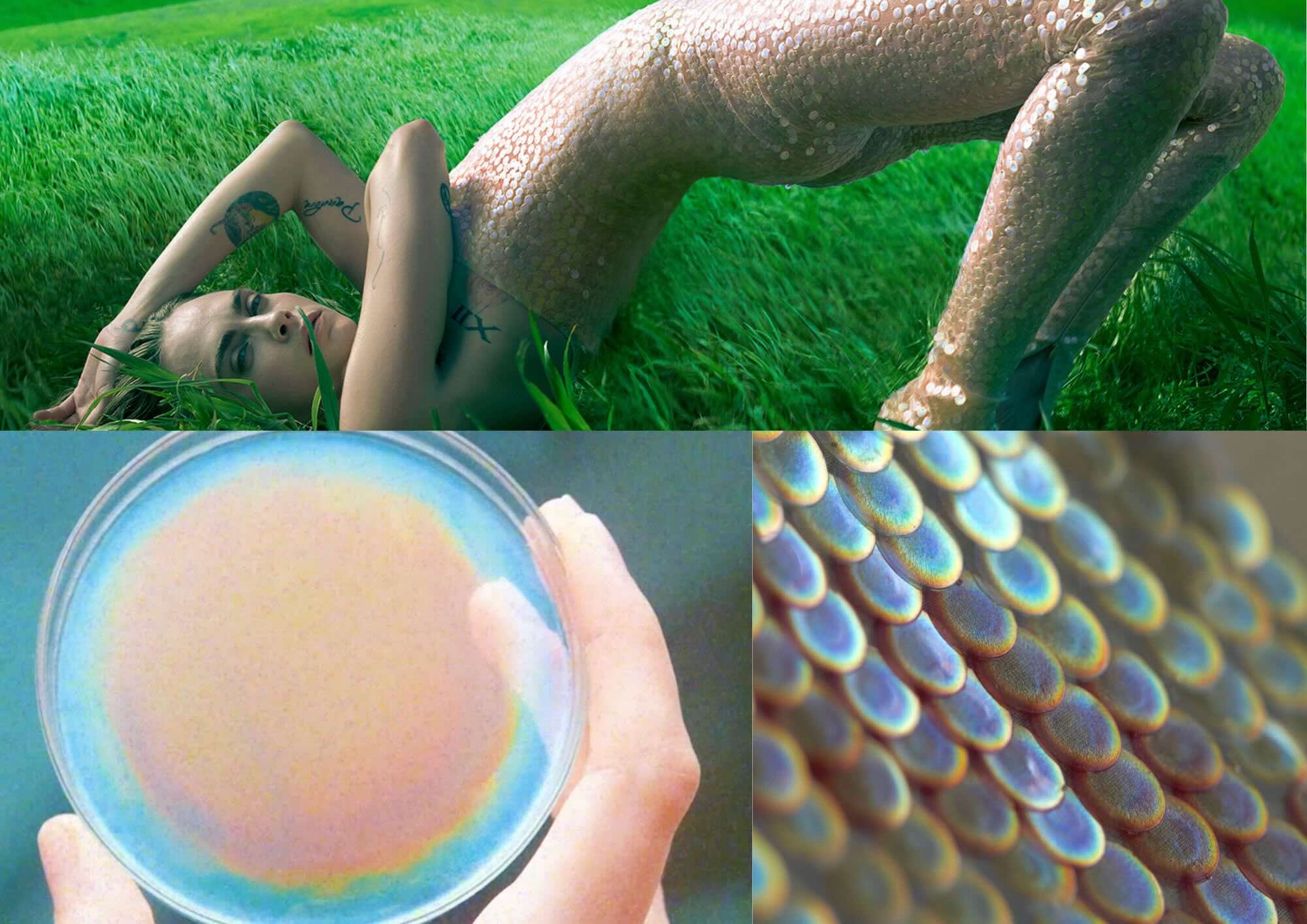 From Ocean to Atelier: The Rise of Algae Leather