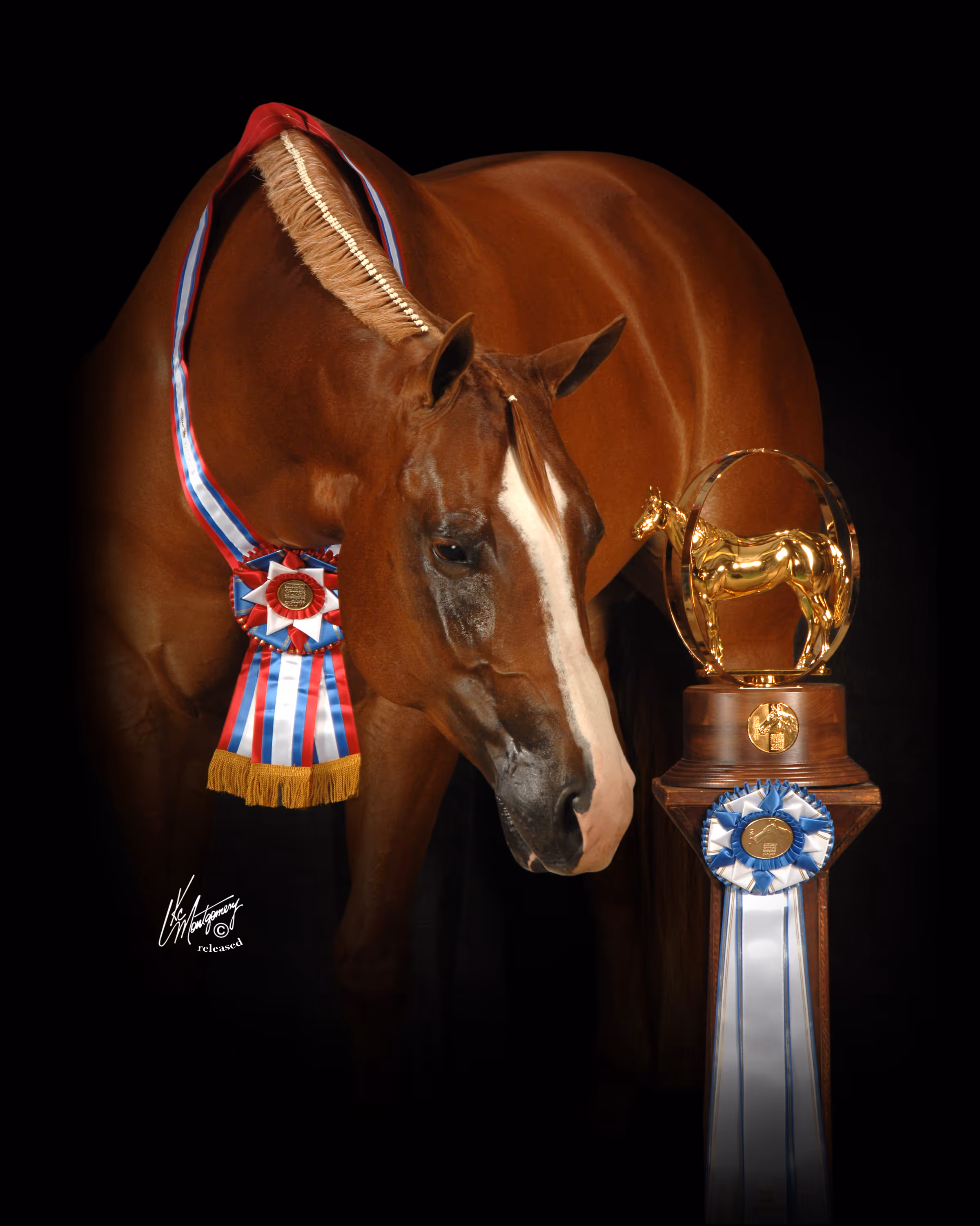 Chestnut horse with a braided mane wearing a red, white, and blue award ribbon, standing next to a tall wooden trophy topped with a gold horse figurine and decorated with a blue and white ribbon.