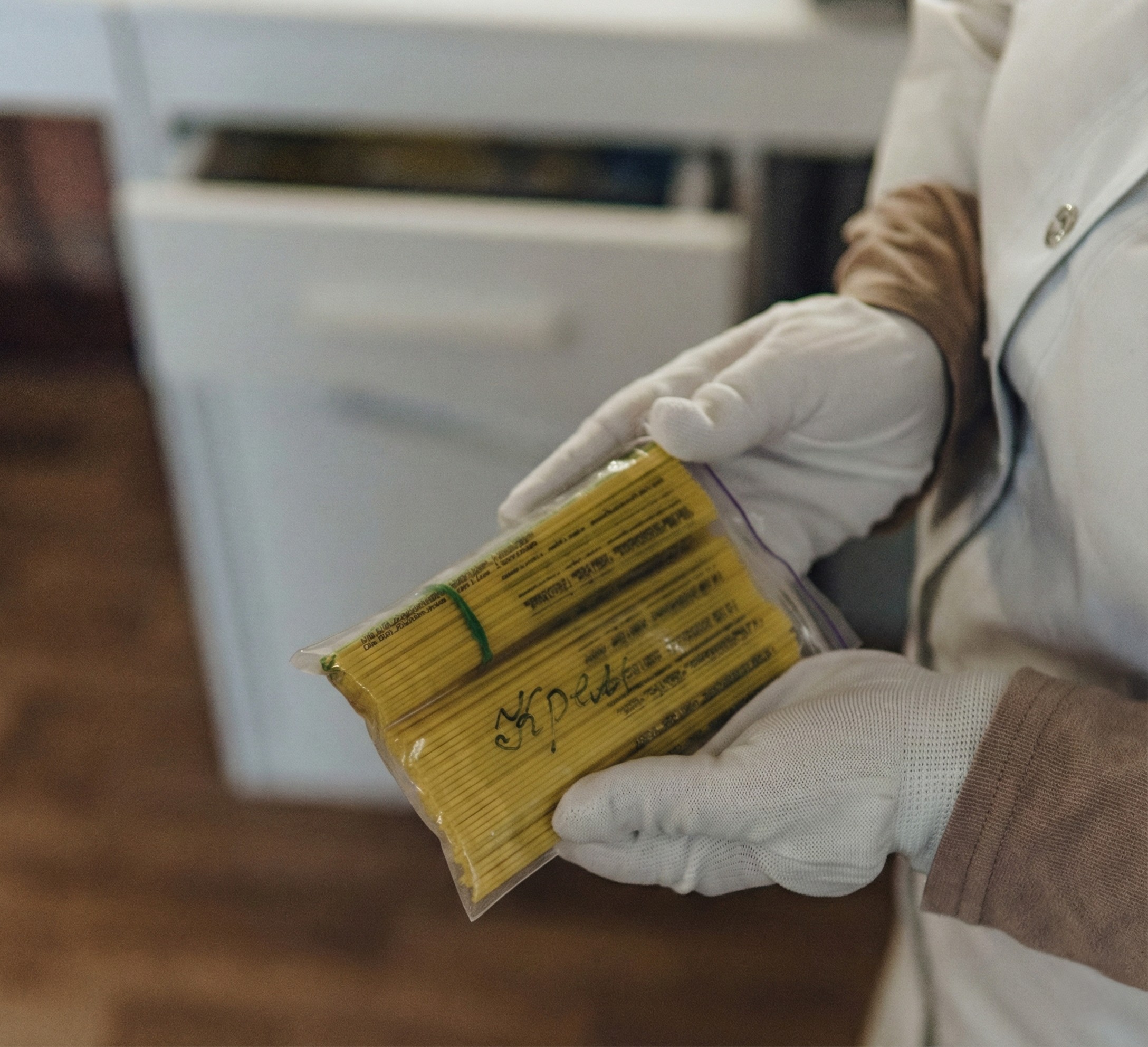 Пайєта 0,5 мл для осіменіння корів — новий формат | Полтаваплемсервіс