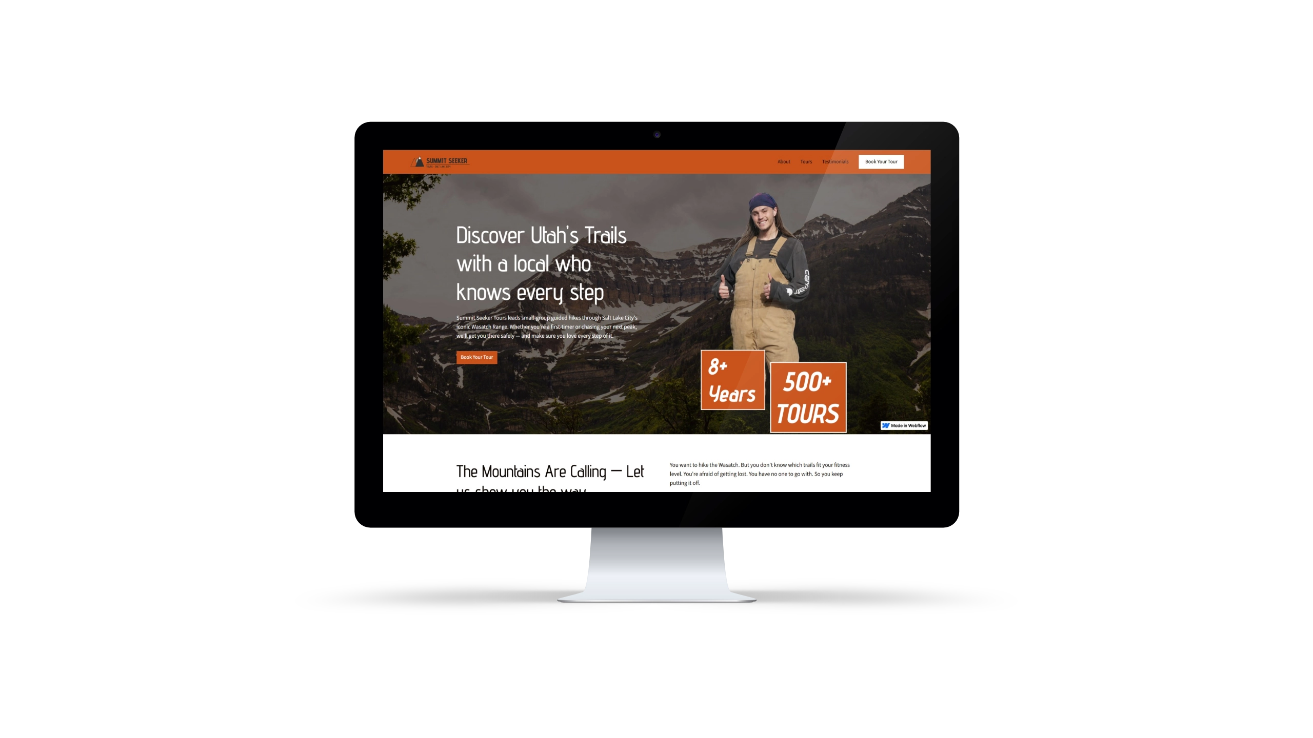 Various view port webpages