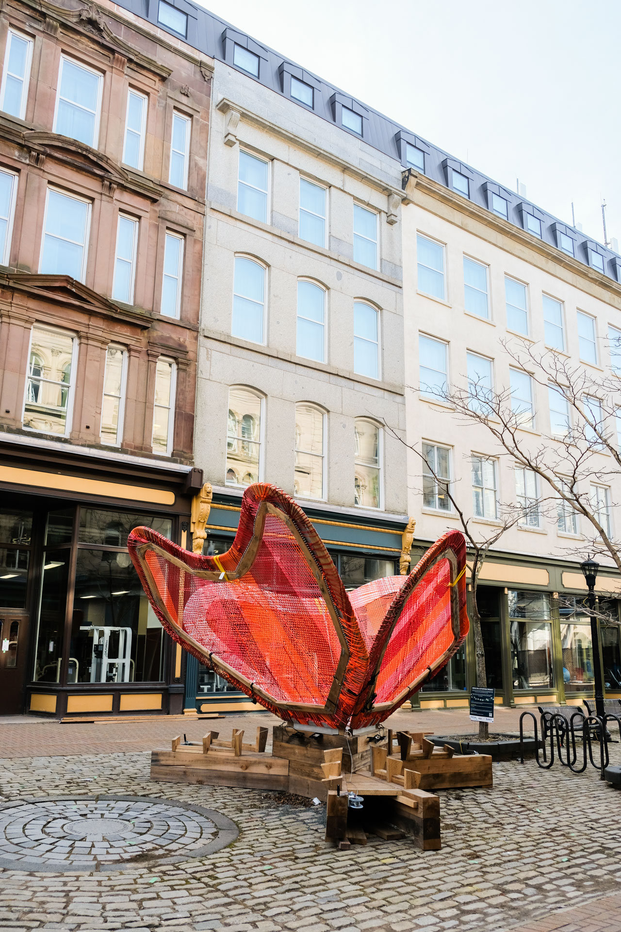 11-bloom-_MSM0028 (1).jpeg