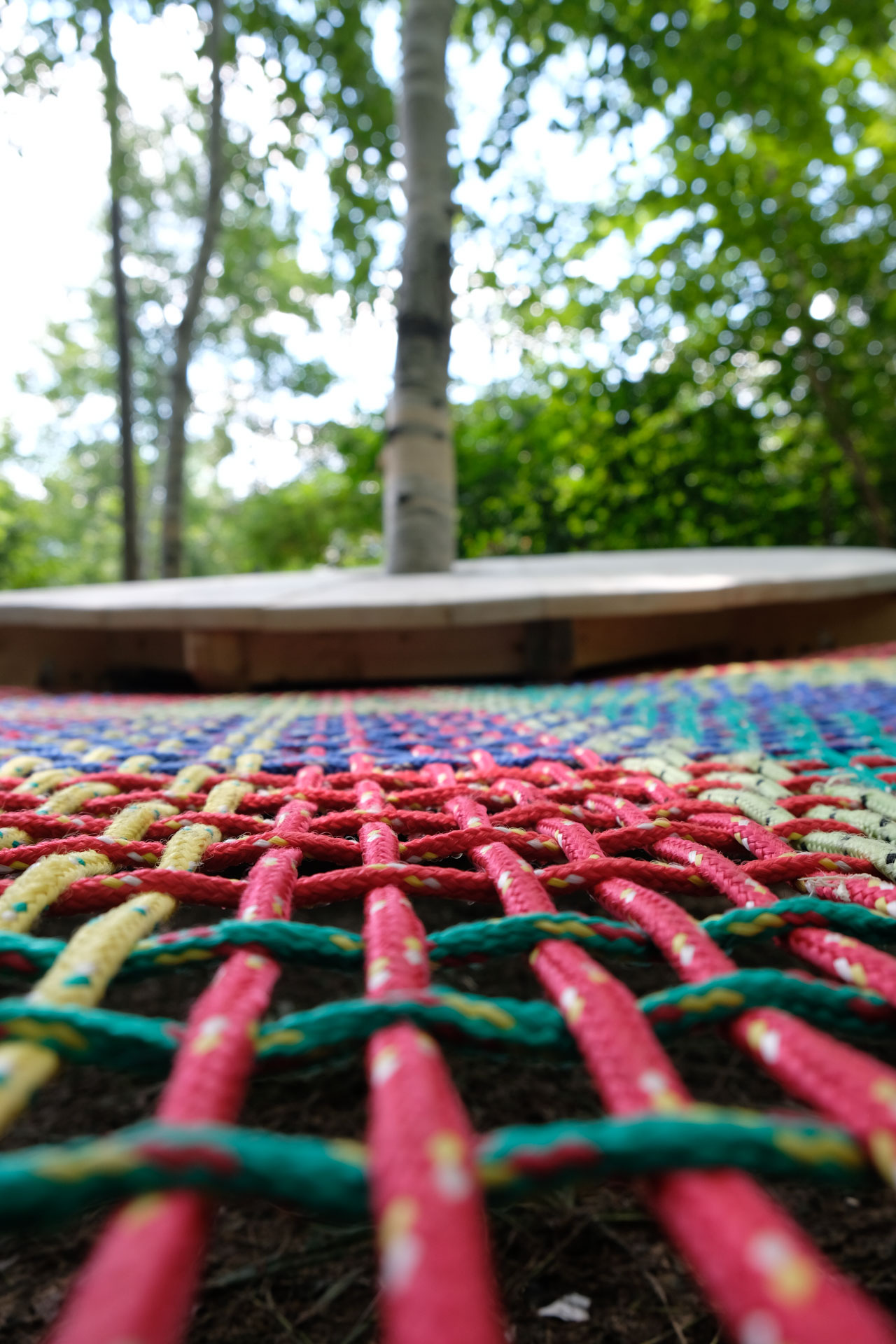 29-Tobique-Copy of TobiqueFreelab__MSM0970.jpeg