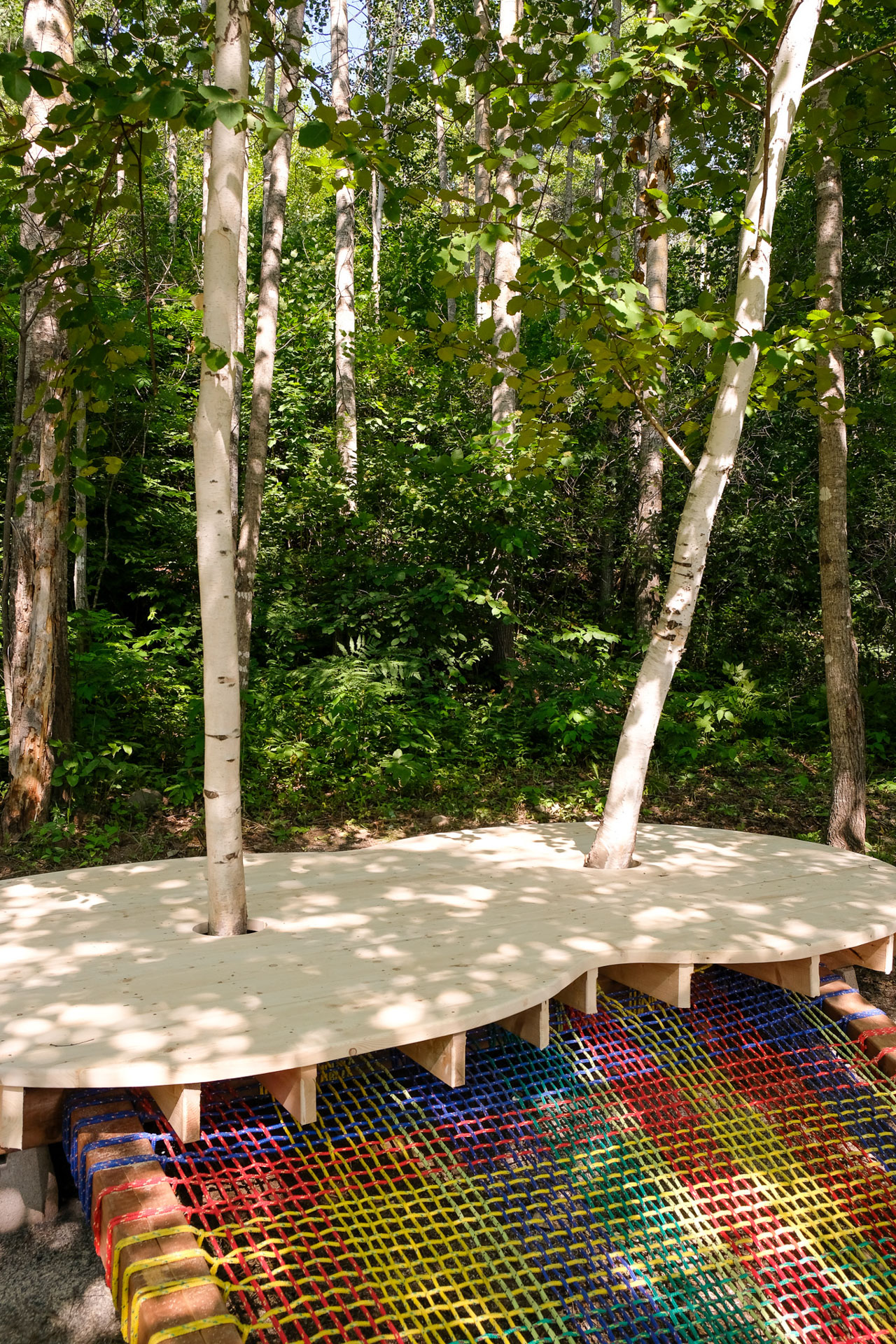 29-Tobique-Copy of 4_TobiqueFreelab__MSM1095.jpeg