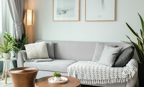 Modern living room with a gray sofa adorned with patterned cushions and a throw, a floor lamp, potted plants, wooden side tables, and two framed artworks on the wall.