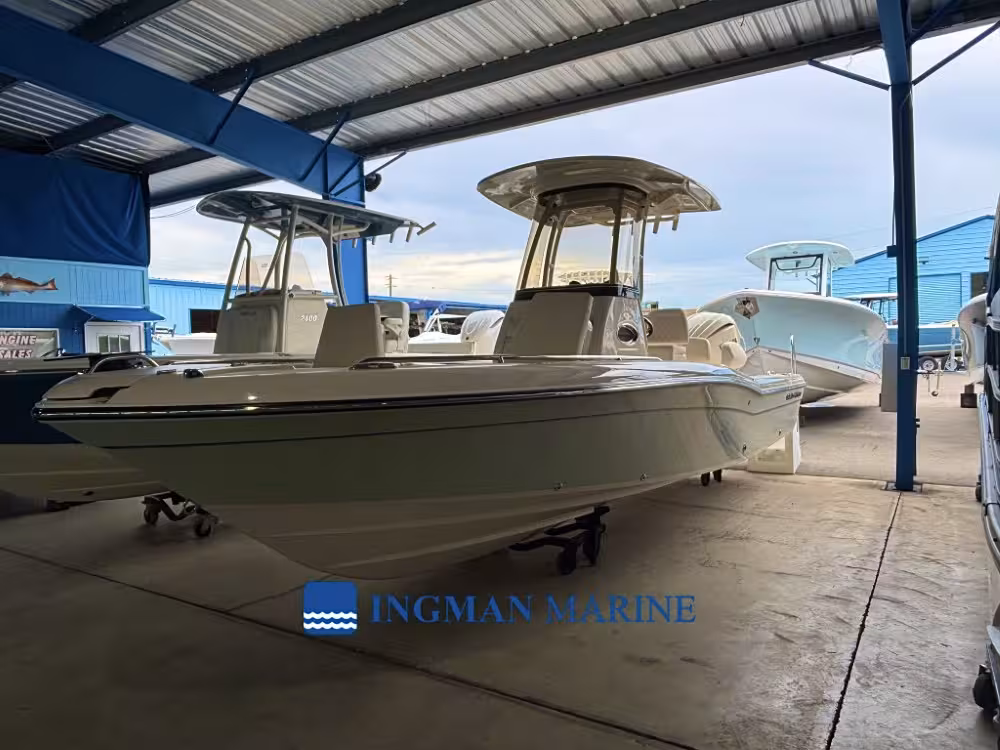 Coastal Explorer 251