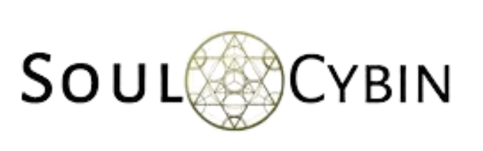 Soul Cybin logo featuring the text 'Soul Cybin' with a geometric circular design in the center.