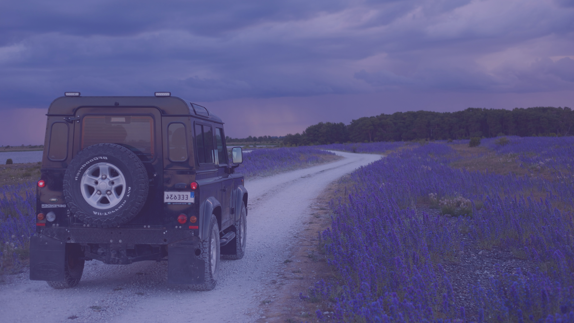 Rear view of a black Land Rover Defender parked on a gravel path winding through a field of purple wildflowers under a cloudy sky.