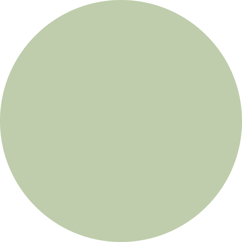 Solid light green circular shape on a transparent background.